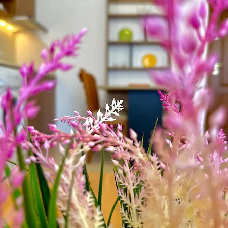 Efir 2 - Menada 아파트호텔