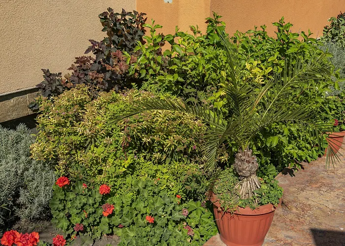 Hotel de apartamente Efir 2 - Menada 3*