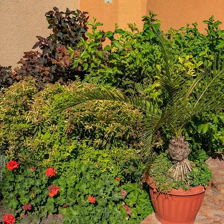 Lejlighedshotel Efir 2 - Menada